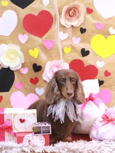 20230221ジョナくん